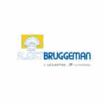 Bruggeman Instant minigist 120x11gr